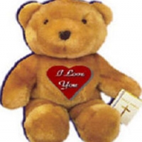 24" Brown Teddy Bear with I Love You Pillow.