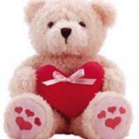 24" Pink Teddy Bear with Heart shape Pillow.