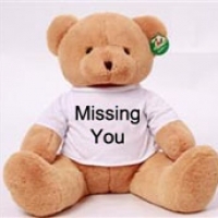 24" Brown Teddy Bear with Missing you T-shirt.