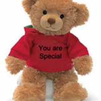 20" Brown you are special Teddy Bear with T-shirt