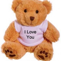 20" Brown I Love you Teddy Bear with T-shirt